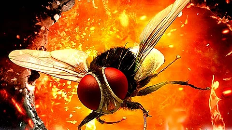 Producer of multilingual superhit 'Eega' issues copyright infringement notice to Malayalam movie 'Lovely'