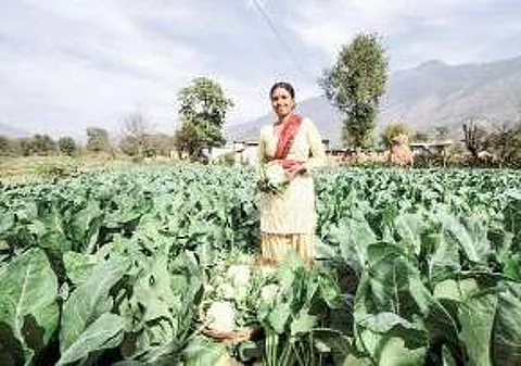 Andra Pradesh government to extend organic farming to 12,900 villages