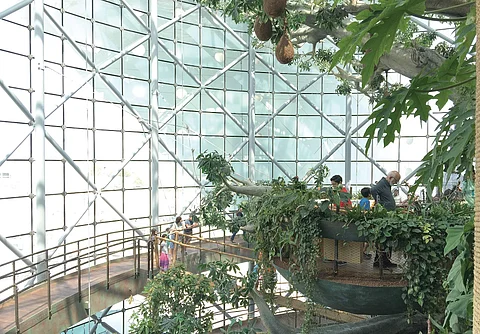 The bio dome