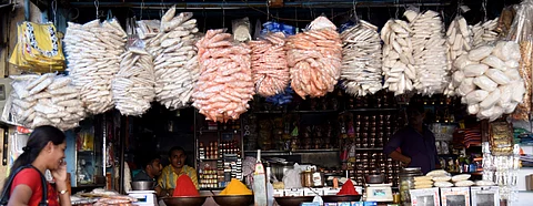 To protect cows, Madhya Pradesh government bans plastic bags from May 1