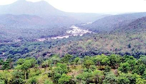 Upper Bhadra project to get green nod
