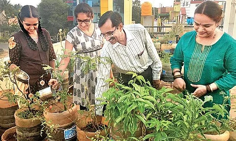 CS Sudarshana’s family also helps him take care of the plants in his  500-sqft terrace garden in Mysuru