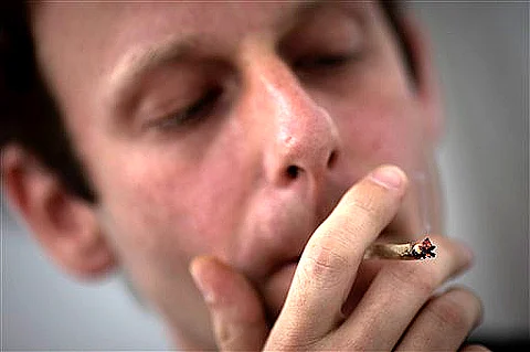 Smoking marijuana may lead non-smokers to cigarettes