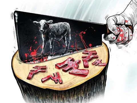 Illegal slaughterhouses flourish in the city