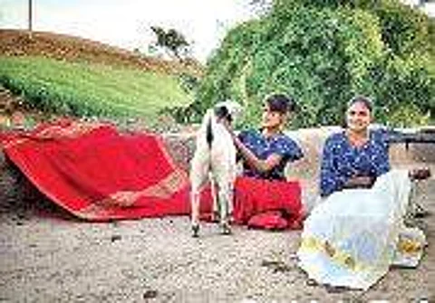Tailoring dreams: The story of Swara - Voice of Women