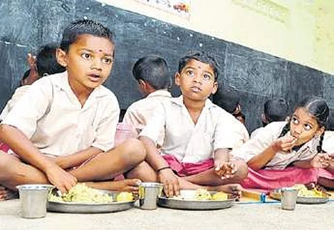 Pesticide in Hyderabad kids’ food 40 times more than in US