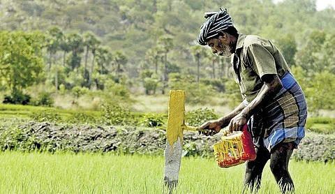 A worker giving finishing touches to a marker stone placed in middle of an agriculture field during land survey for the Salem-Chennai Expressway | Express