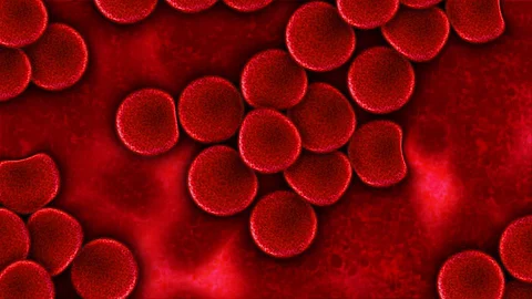 Lower RBC, Hemoglobin in Tibetans in low altitudes