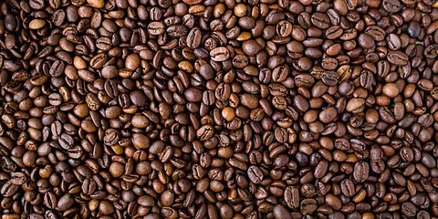 Coffee bean extracts can cut fat-induced inflammation