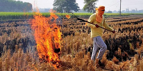 Stubble burning: Cases lodged against 30 farmers in Uttar Pradesh's Fatehpur in past two days