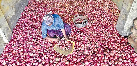 After four months, onion export to 6 countries allowed