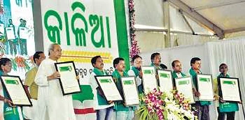 CM Naveen Patnaik during KALIA Samabesh at Garabandha on Thursday | Express