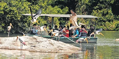 Stop road work affecting bird sanctuary: Karnataka HC