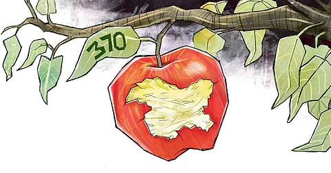 Article 370 (Express Illustration | Amit Bandre)