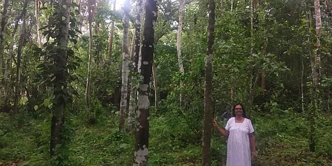 Jayasree with her beloved trees.