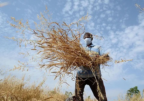 Odisha to provide Rs 1,040 crore credit to 7 lakh landless farmers