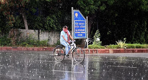 June records 'excess' rainfall, good precipitation expected in July: IMD