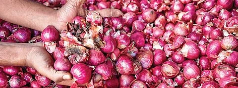 With onion prices hitting the roof in Kerala, govt to make them available at Rs 50 per kg