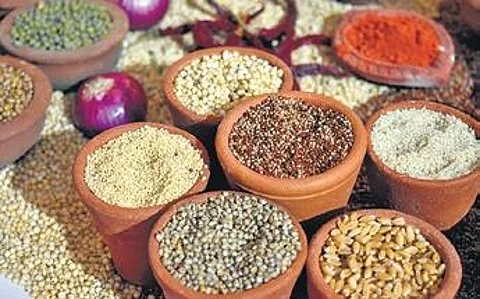 This monsoon, sowing of millets has increased at least by 1.5 lakh hectares.