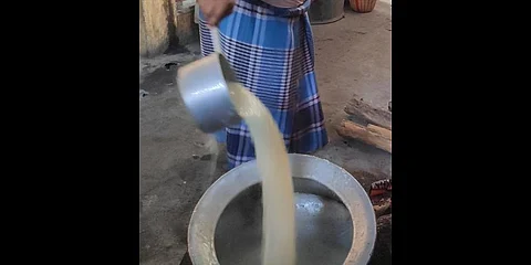 Samples of fermented rice have been sent to the TANUVAS laboratory.