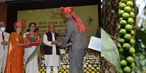 Left, N Poonacha receiving the award at the ceremony in New Delhi. Right, Snapshot of the indigenous 'Adi Pepper' spikes.