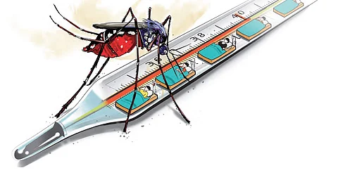 HC asks Delhi government, North Municipal Corporation to respond to plea to control dengue outbreak