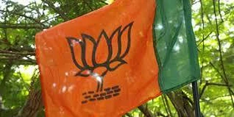 Shiv Sena-MES to field common candidate to derail BJP