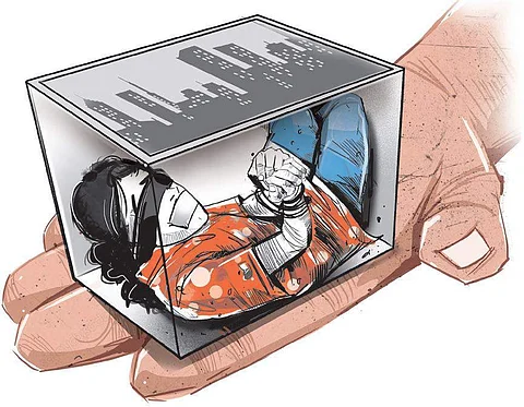 The apprehended smuggler and the seized items have been handed over to the Police Station Basirhat for further legal action. (Express Illustrations)