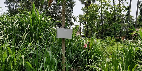 The device has proved helpful in preventing the intrusion of stray animals including blue bulls (Photo | Special arrangement)