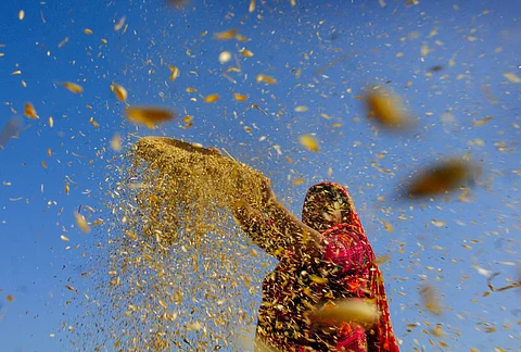 Odisha sets Rs 9,000 crore kharif crop loan target