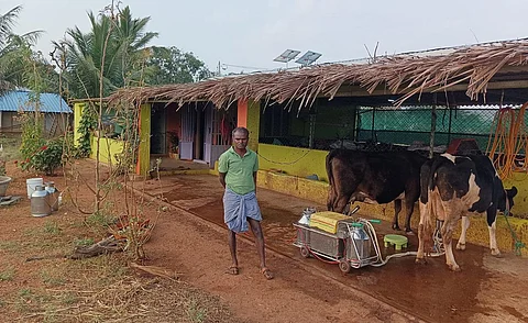 Shivakumar took dairy farming after losing his job as a lecturer amindst the Covid-19 pandemic. (Photo | Express)