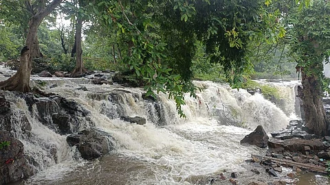 Over the past few days, tourists have been coming in from Karnataka via coracles to Hogenakkal, leaving police and fire staff baffled.