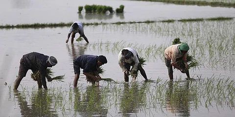 Crop loan disbursement to exceed Rs 12,000 crore across TN this year, says minister