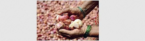 The soaring price of onions has brought tears to consumers. (File Photo)