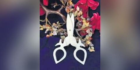 Skills and bones: Lucknow's father-son duo keep ancient art of bone carving alive