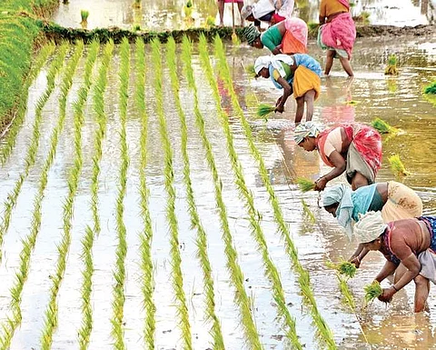 Image used for representational purpose. (Photo | Express)