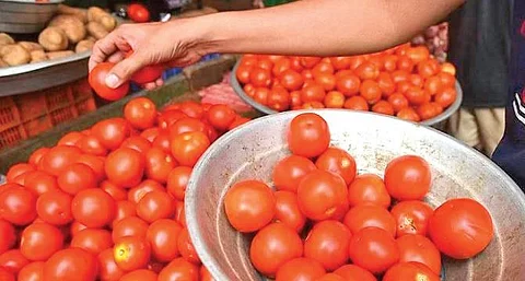 ‘High tomato prices inflate potato, onion rates’