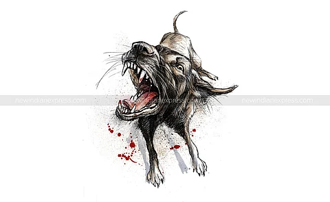 Pack of dogs maul elderly woman to death in Vizag