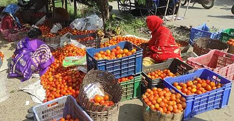 Tomatoes being sold in a wholesale market at Palacode in Dharmapuri district.