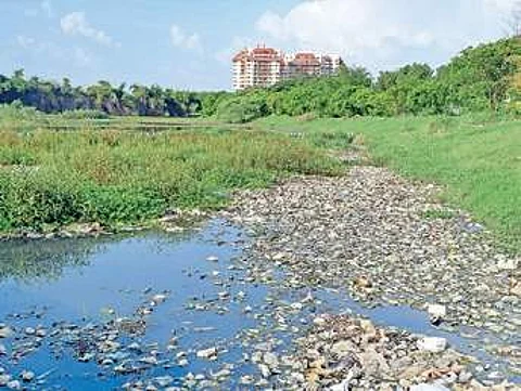 Lake buffer zone encroached to make illegal roads in Bengaluru's Mahadevapura