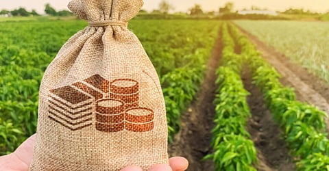 Farmer Incentive