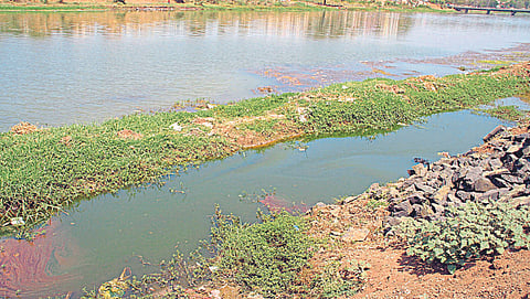Water Conservation