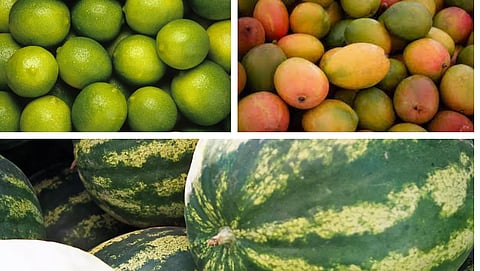 lemon, Mango, watermelon