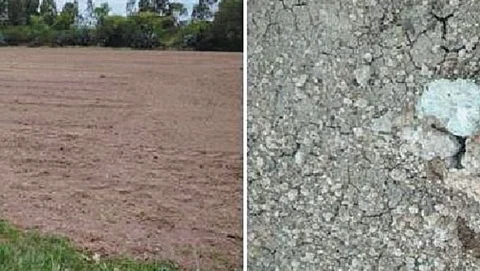 Soil Management
