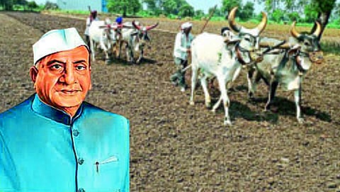 Dr Panjabrao Deshmukh