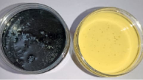 Microorganisms, Biological