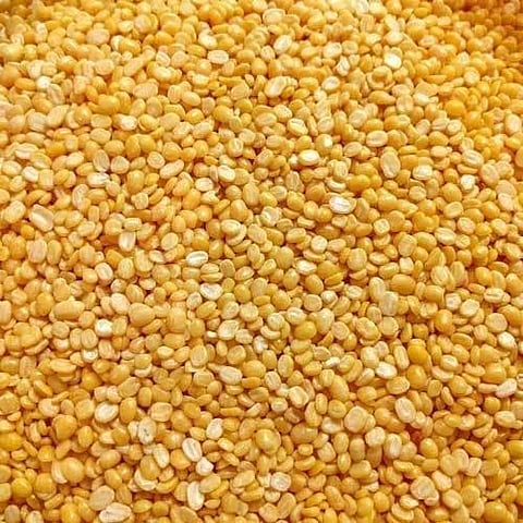 Muga pulses are included in the nutritional diet in Madhya Pradesh