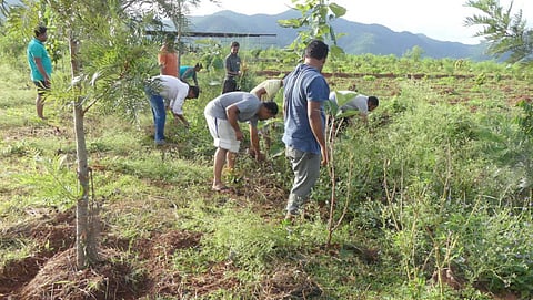 Natural Farming