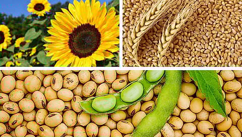 Agriculture Market Bulletin