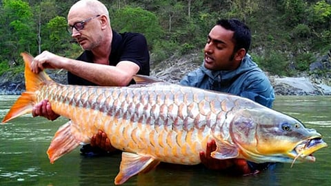 Mahseer Fish Conservation